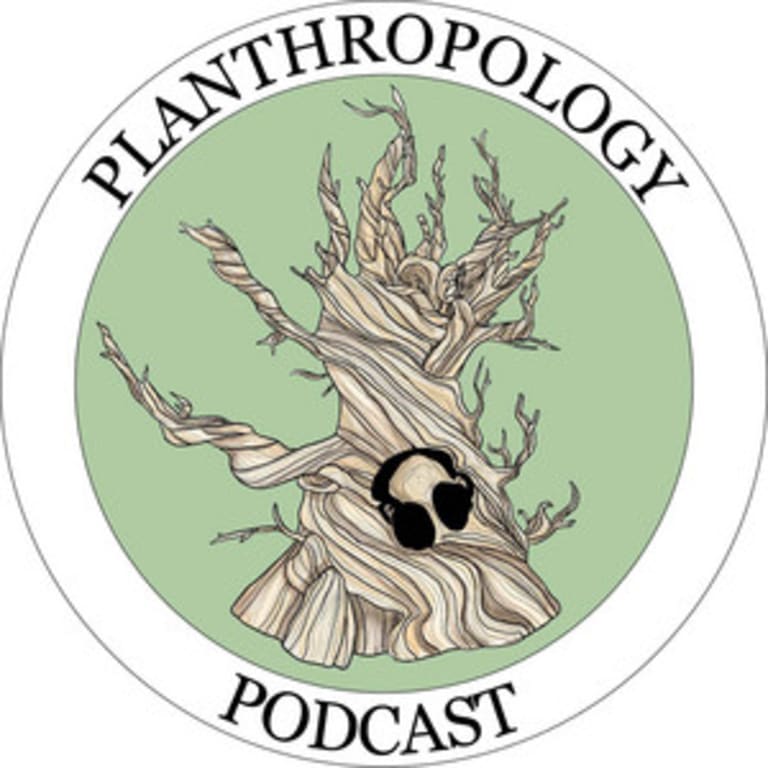 Planthropology avatar