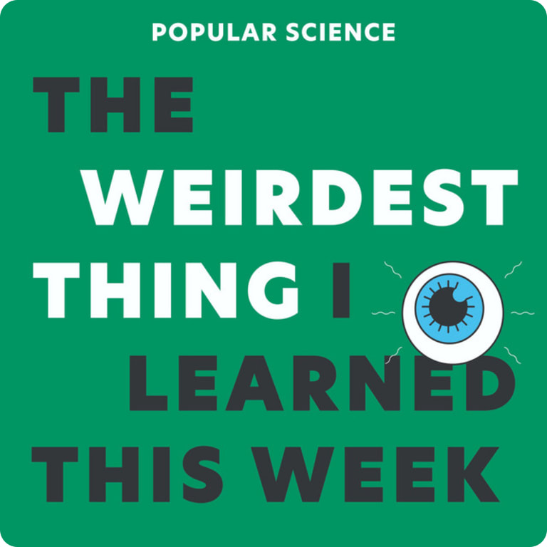 The Weirdest Thing I Learned This Week avatar