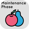 Maintenance Phase