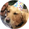 Ryan Block profile picture