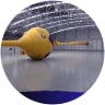 David Huntsberger profile picture