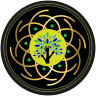 Rob Carney avatar