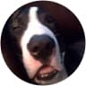 Matt Meeker profile picture